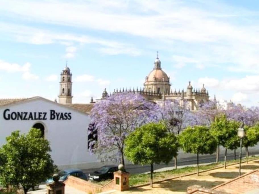شقة Apartamento Loft Jerez Buleria جيريز المظهر الخارجي الصورة